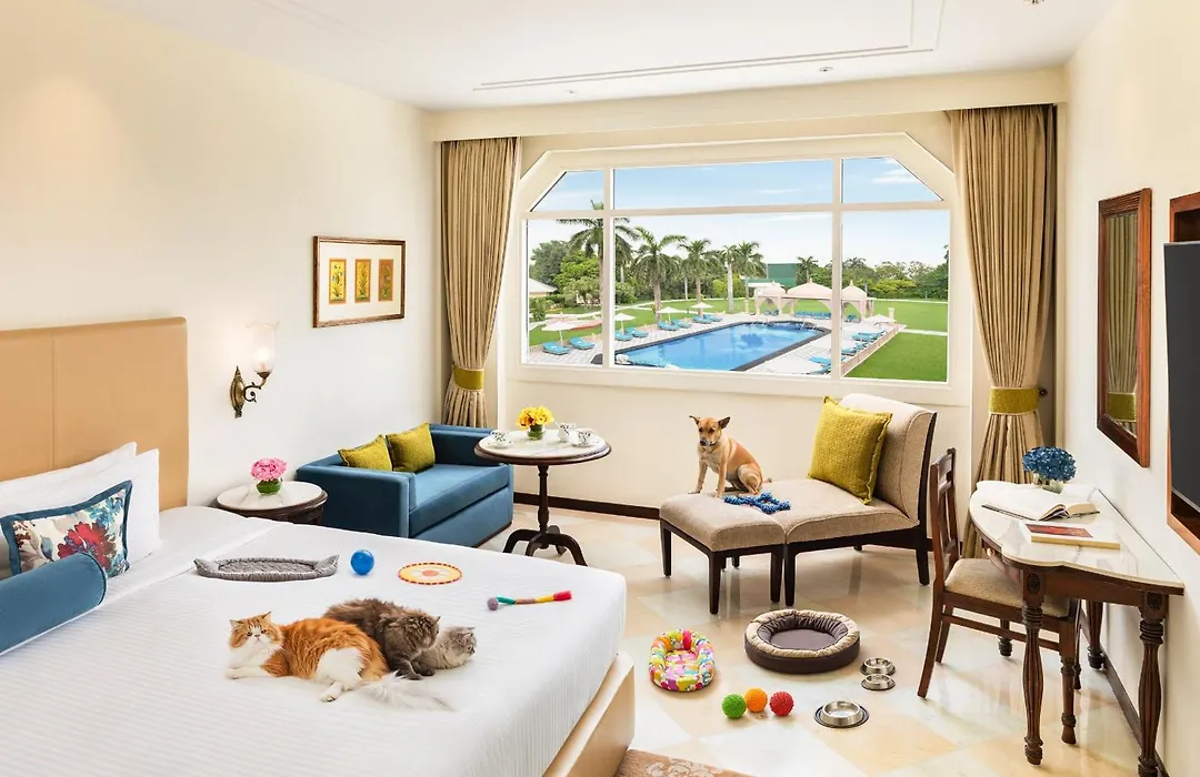 Tajview, Agra-Ihcl Seleqtions-1