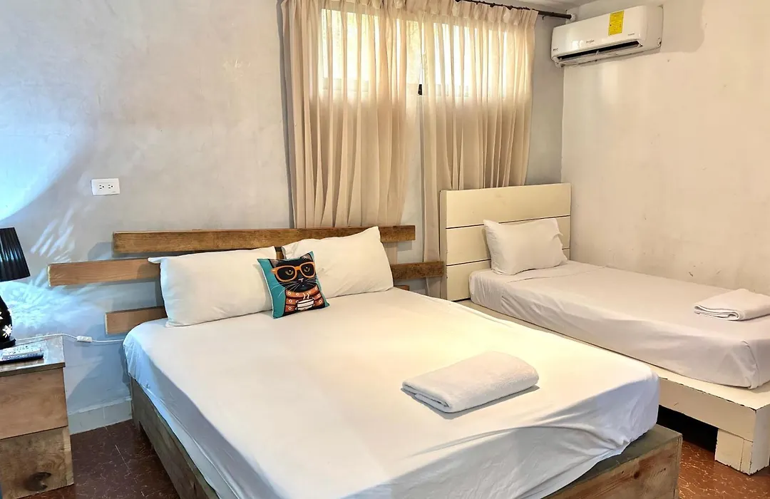 Hostel Gato Colonial-1