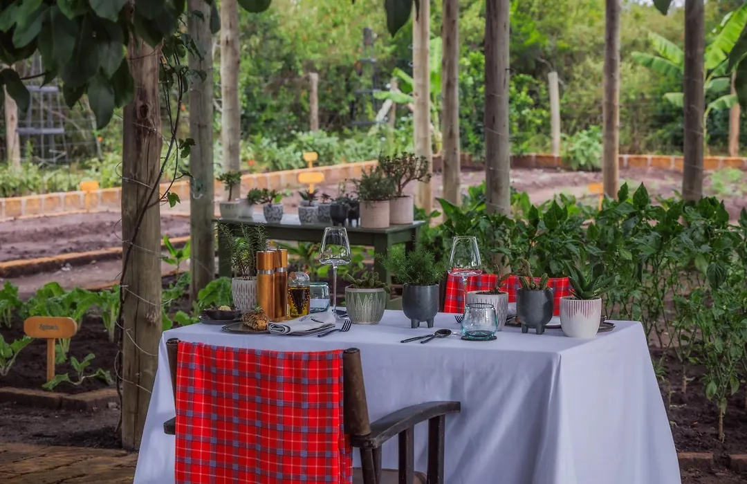 Jw Marriott Masai Mara Lodge-1