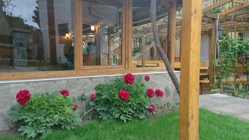 Guest House Nash Dom-1