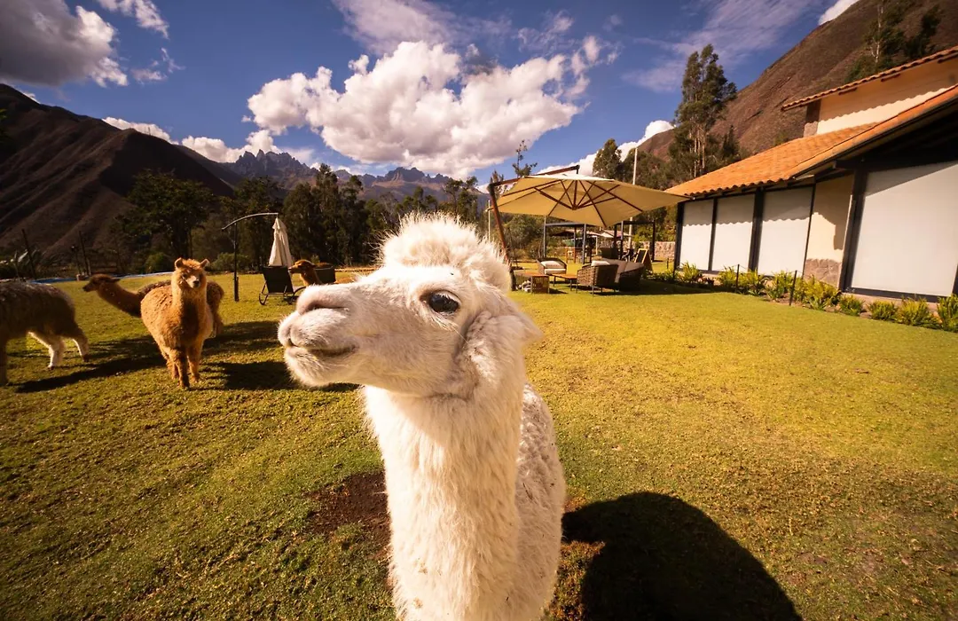 Sierra Sacred Valley-1