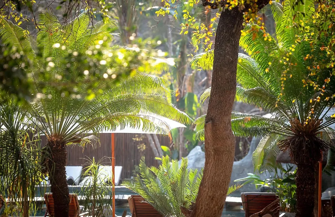 Karongwe- Shiduli Safari Lodge-1