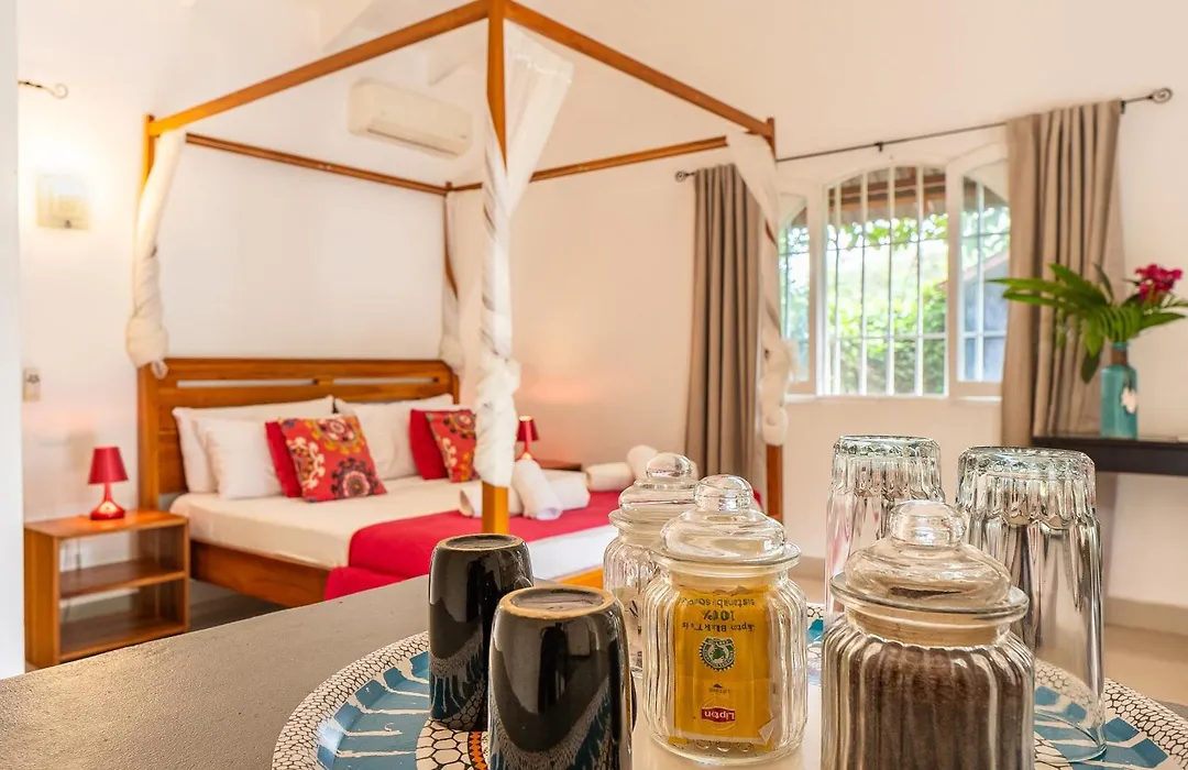 Casa Mapache Pool And Breakfast Available Near Tamarindo Beach-1