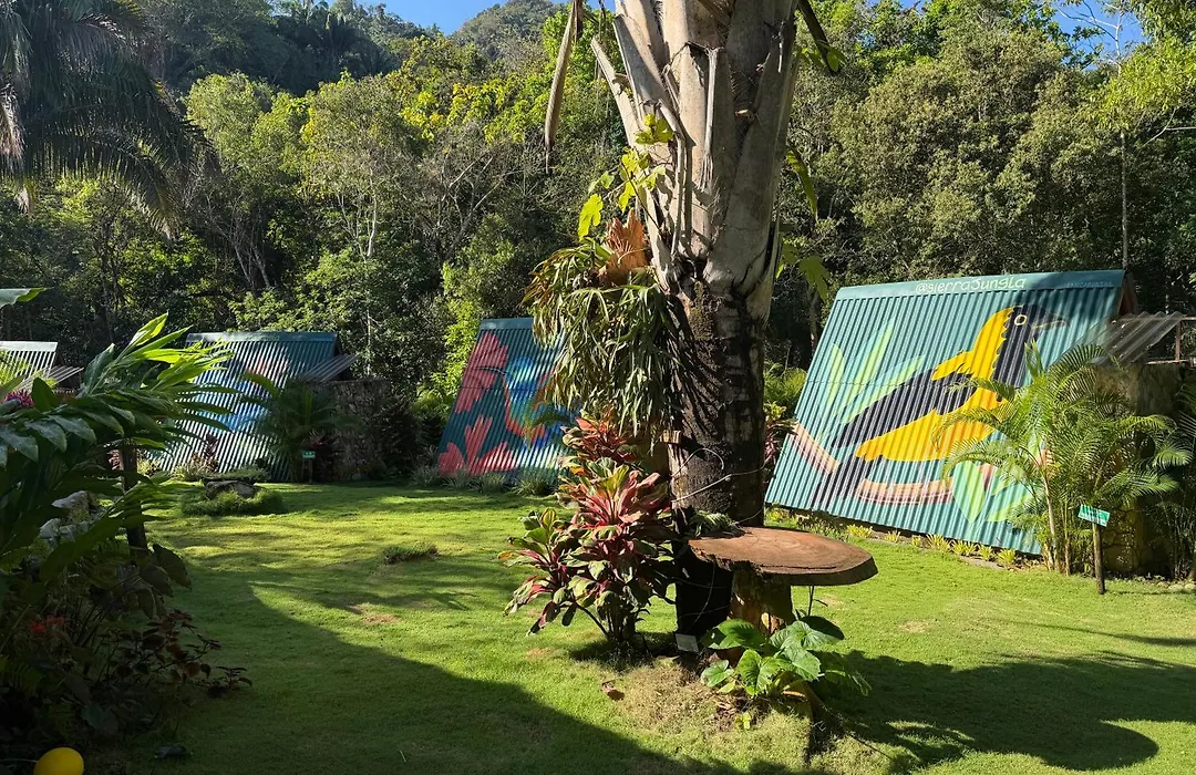 Sierra Jungla-1