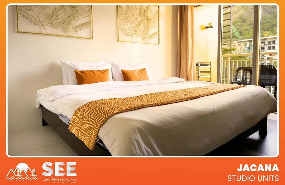 Pico De Loro Nearest To Pool Jacana Studio Units By See Condominiums-1