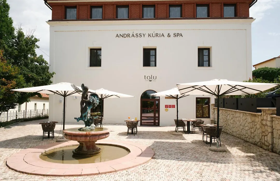 Andrassy Kuria & Spa-1