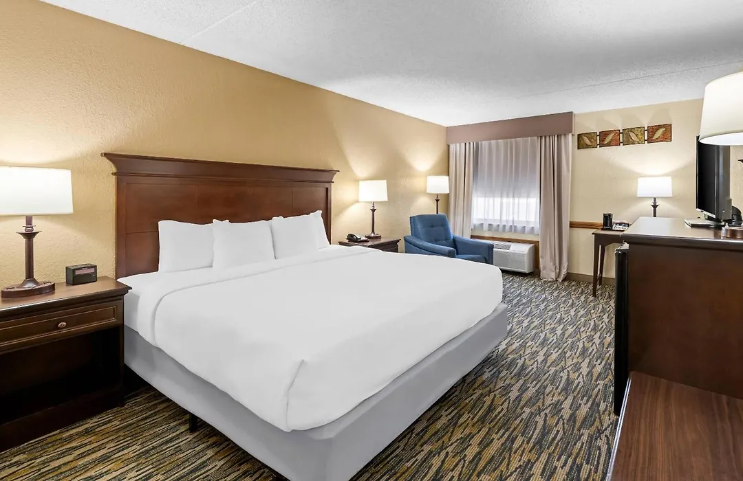 Comfort Inn At Thousand Hills-1