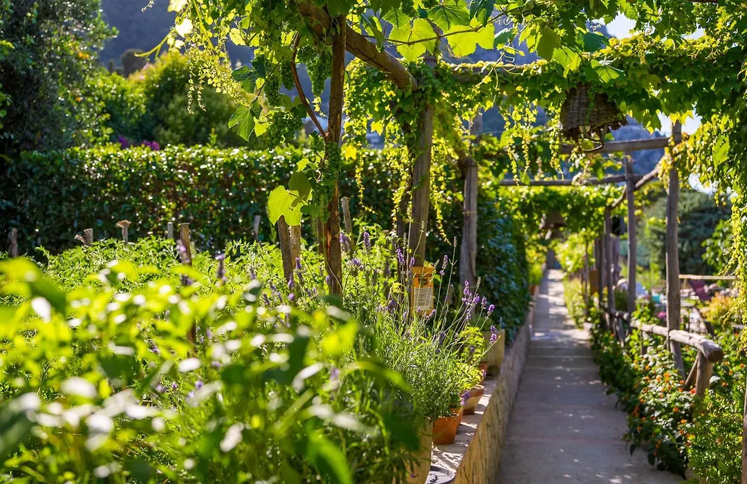 Capri Wine Hotel-1
