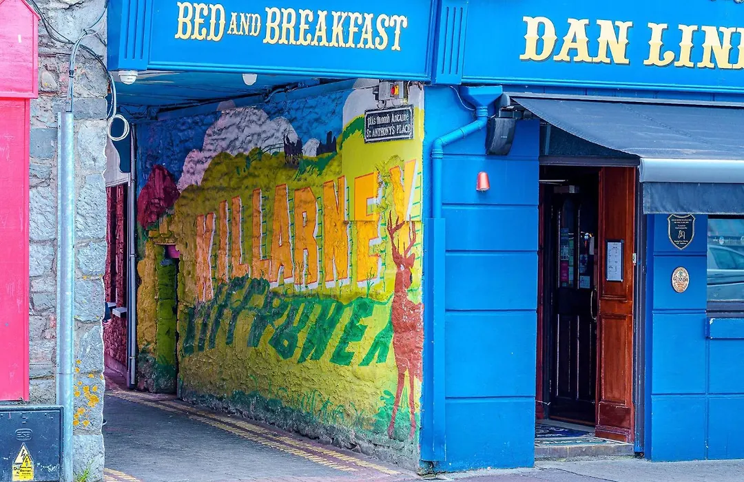 Dan Linehan'S B&B-1