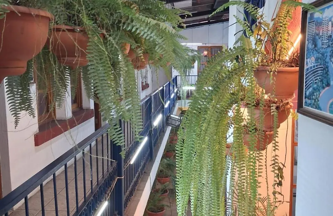 Hotel Kasa Kamelot-1