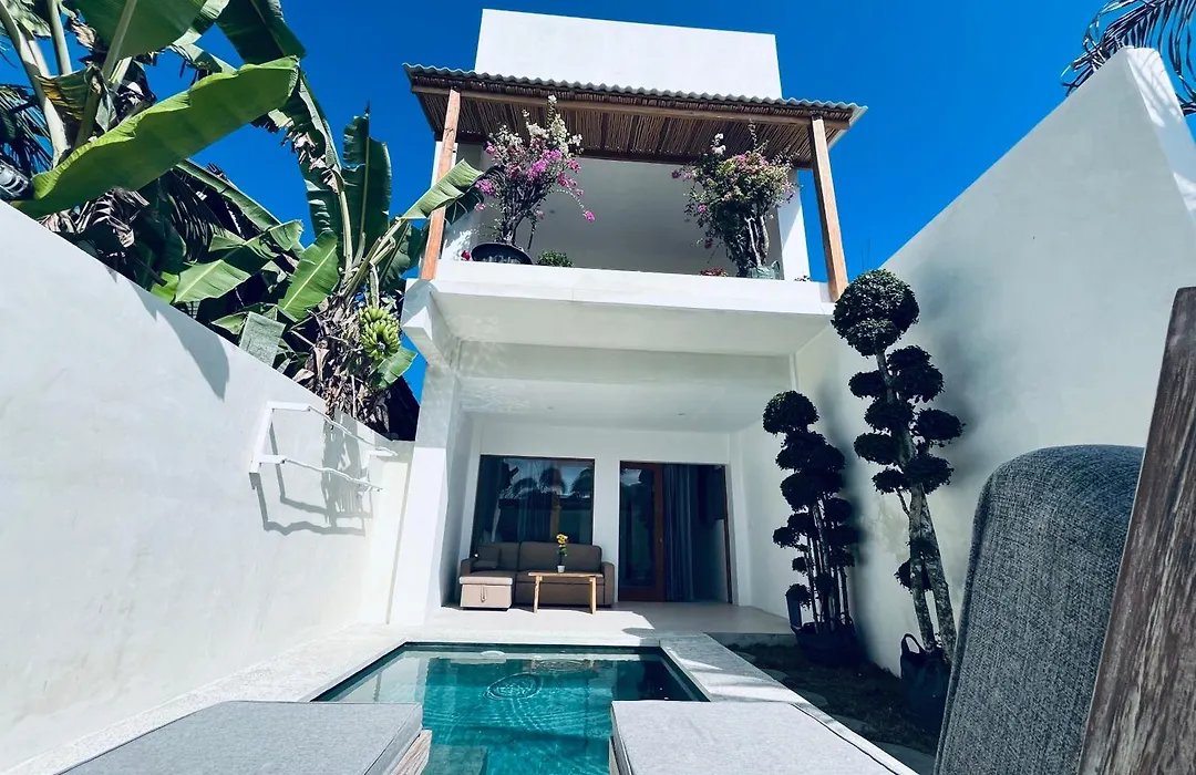 Palm Green Hotel-1