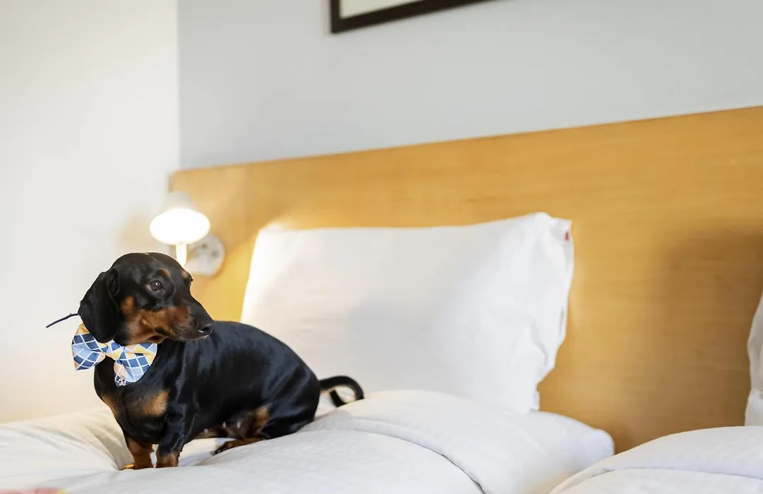 Ibis Chennai Omr - An Accor Brand-1