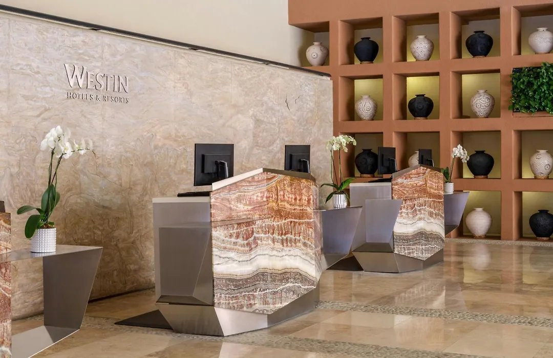 The Westin Los Cabos Resort Villas-1