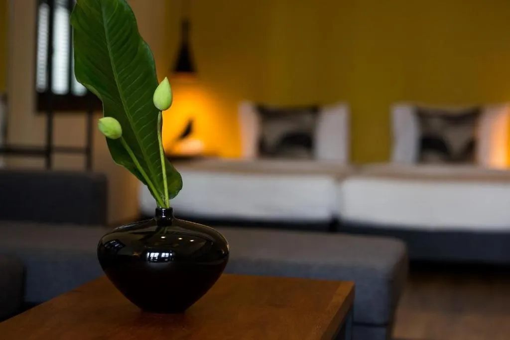 Mulberry Hotel-1