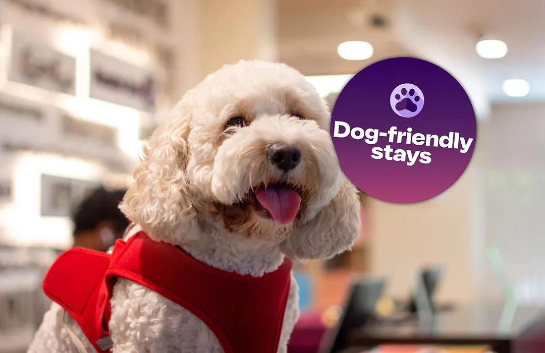 Premier Inn Dubai Silicon Oasis - An Emirates Group Company-1