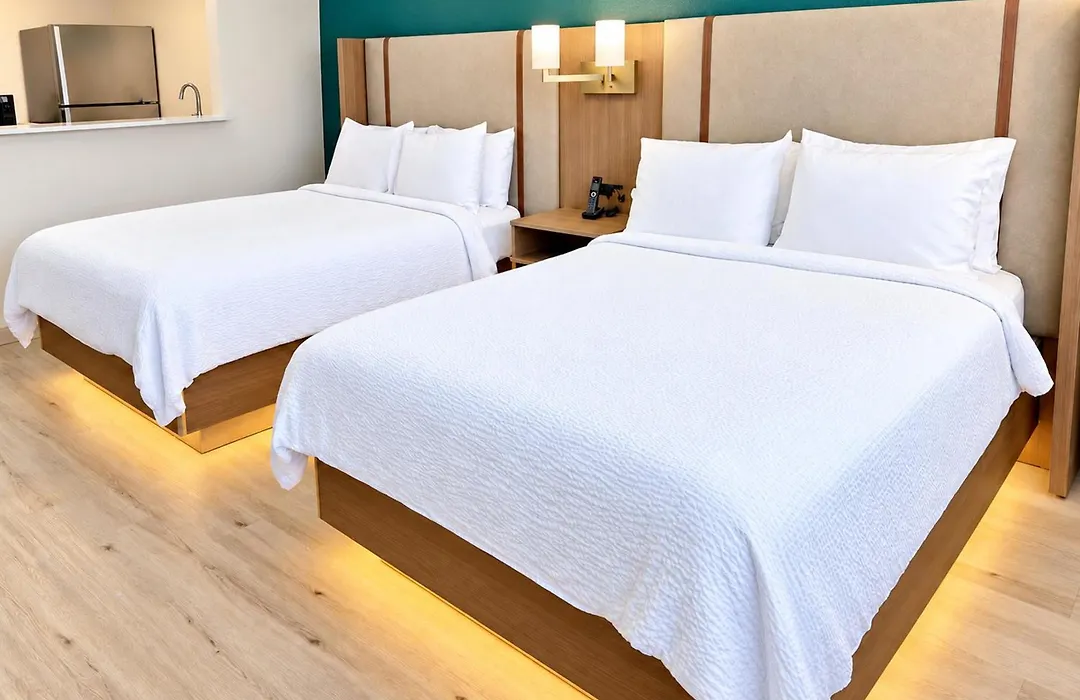 Holiday Inn Houston S - Nrg Area - Med Ctr By Ihg-1