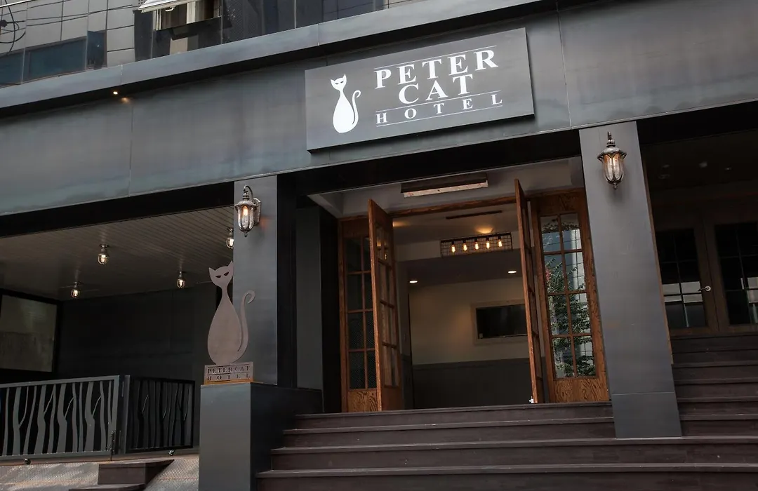 Petercat Hotel Shinchon-1