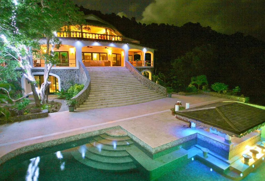 Tropical Hideaway-1