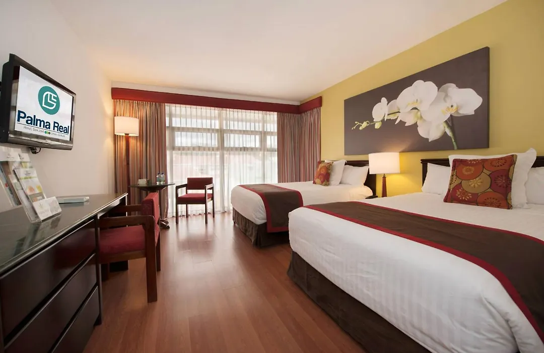 Hotel Palma Real-1