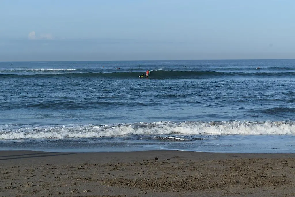Salty Shakas Bamboo Stay Canggu-1