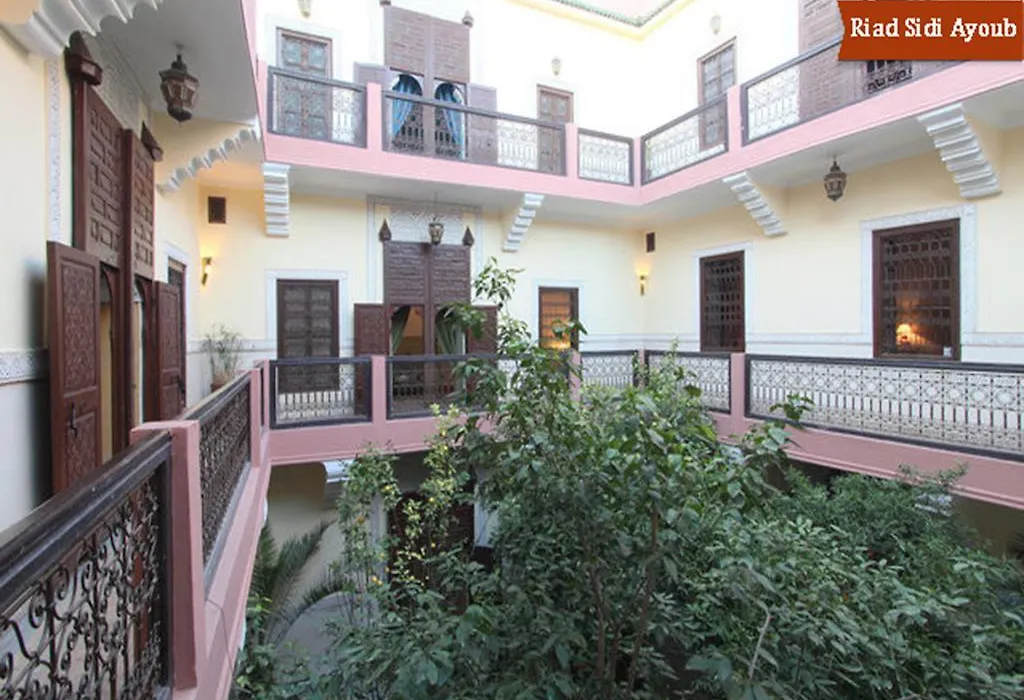 Riad Sidi Ayoub-1