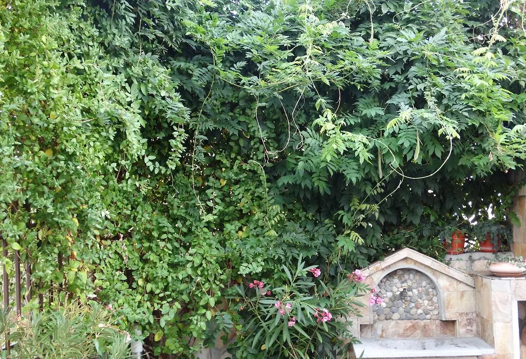 Guest House Ivel-1