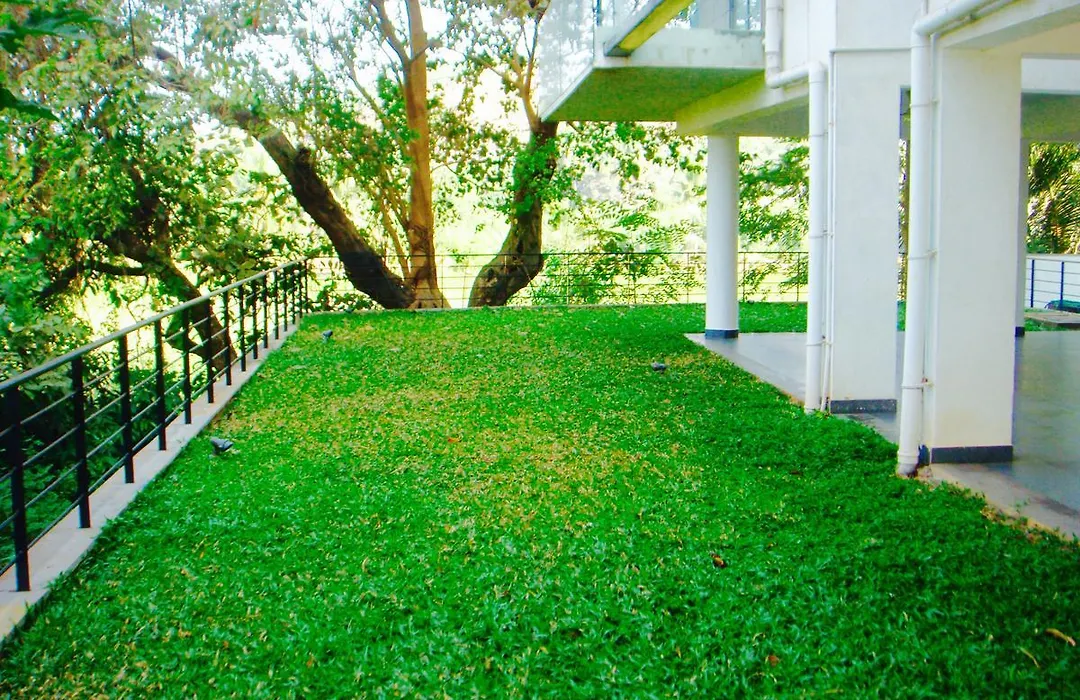 Luxurious 2Bhk For Ultimate Holiday Experience In Goa - 2-1