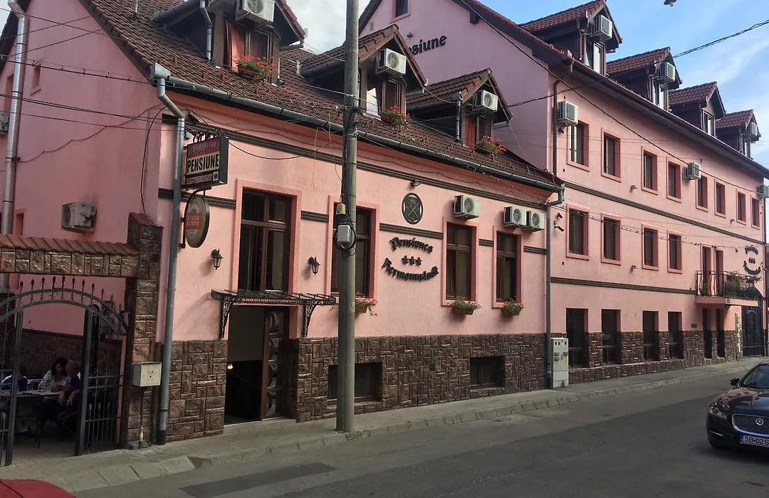 Pensiunea Hermannstadt-1