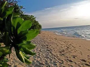 Ravenala Resort-1
