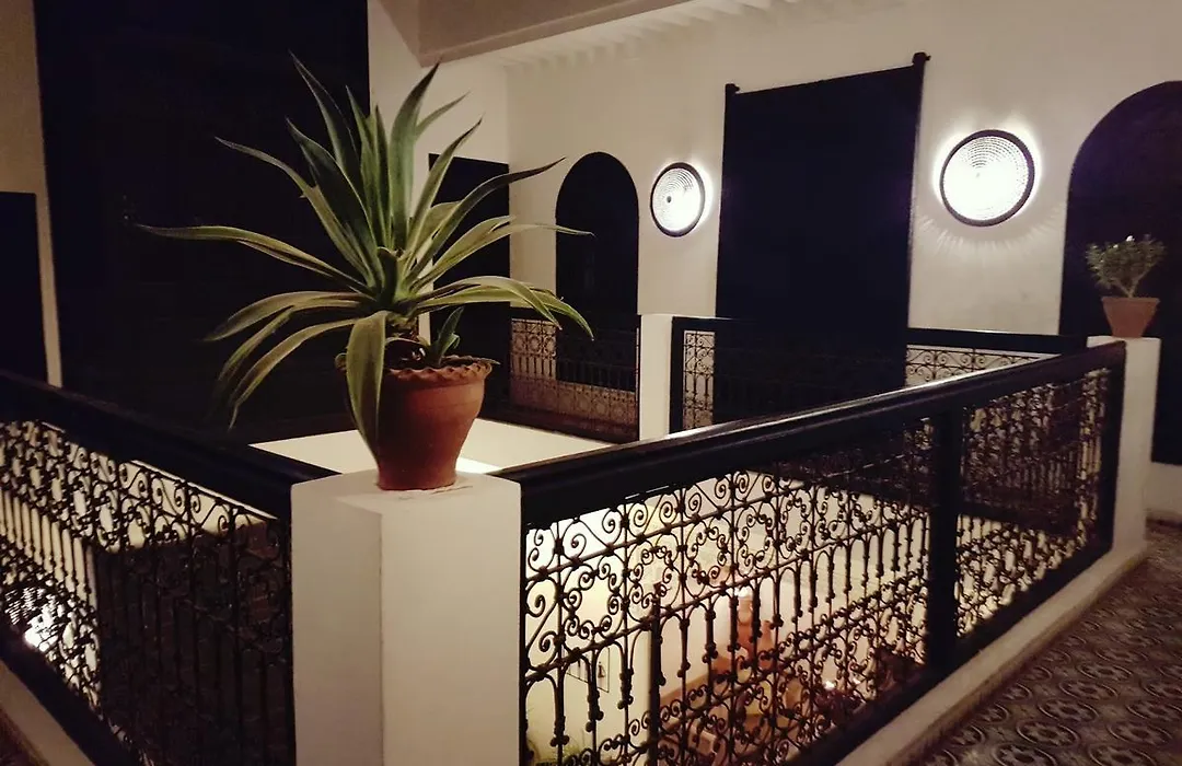 Riad Danka-1