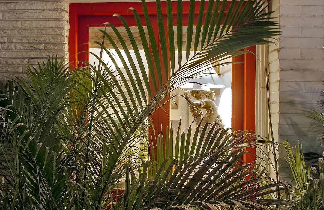 Haveli Hauz Khas-1