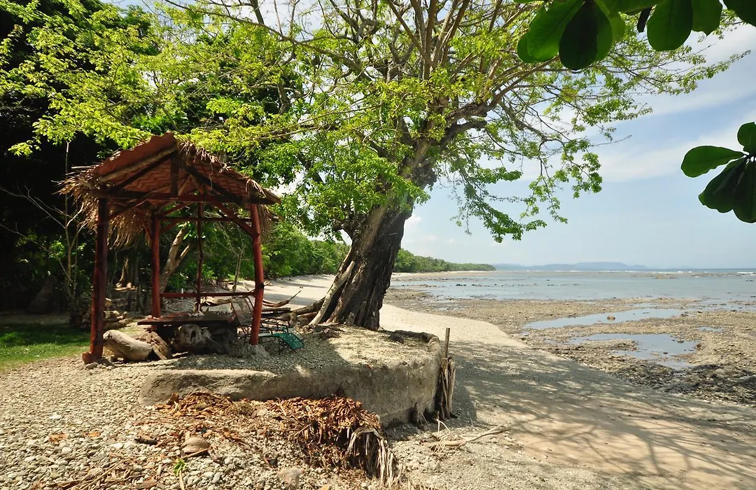 Howler Monkey Hotel-1