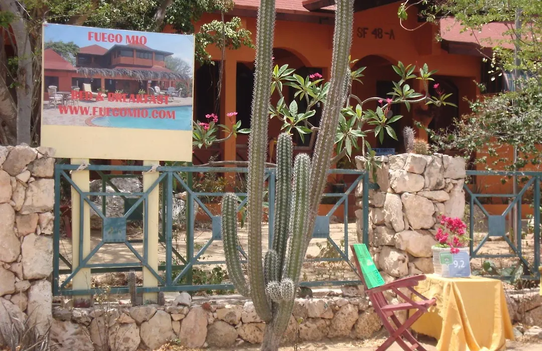 Fuego Mio Bed & Breakfast-1