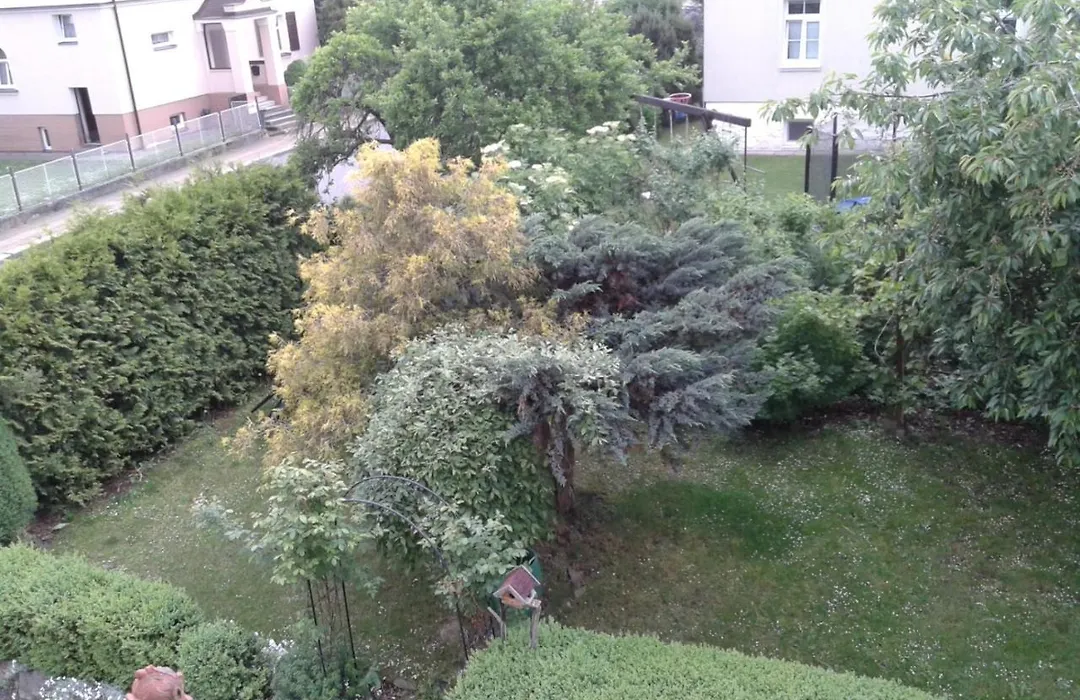 Villa Shafaly-1