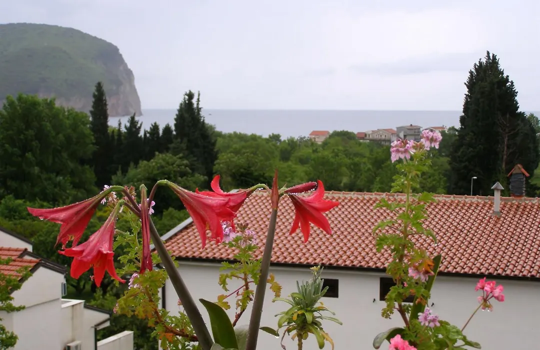Hotel Wellness & Spa Angelo Gabriel-1