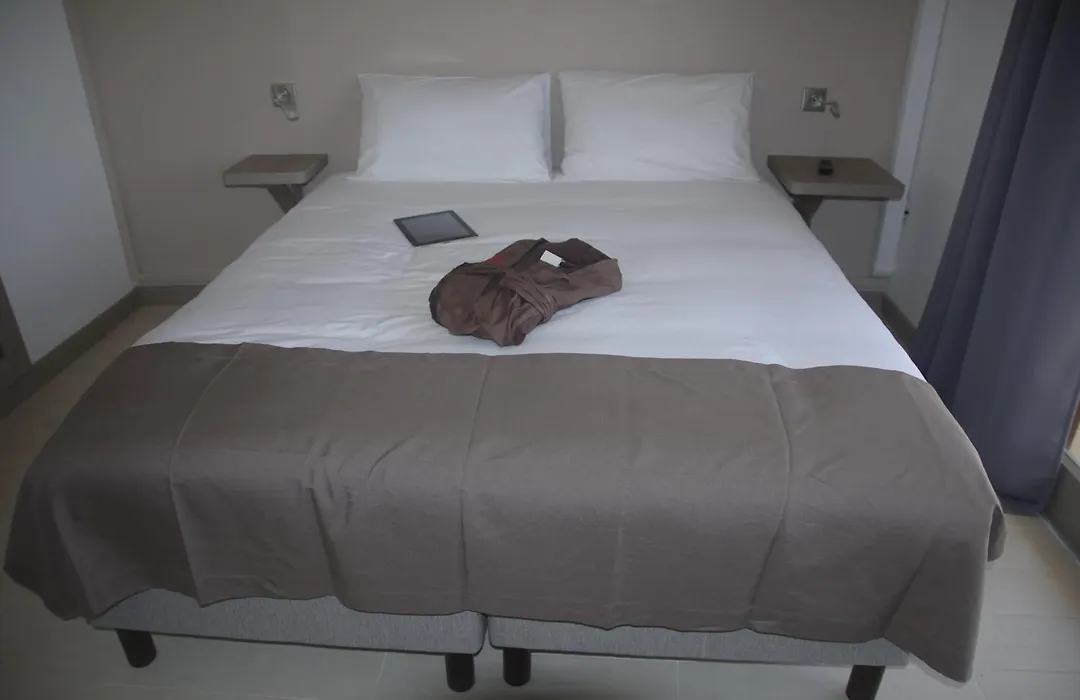 Hotel Des Amandiers-1