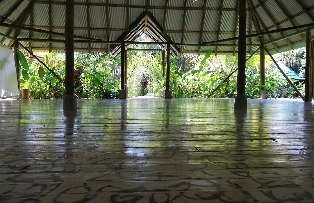 Indigo Yoga Surf Resort-1