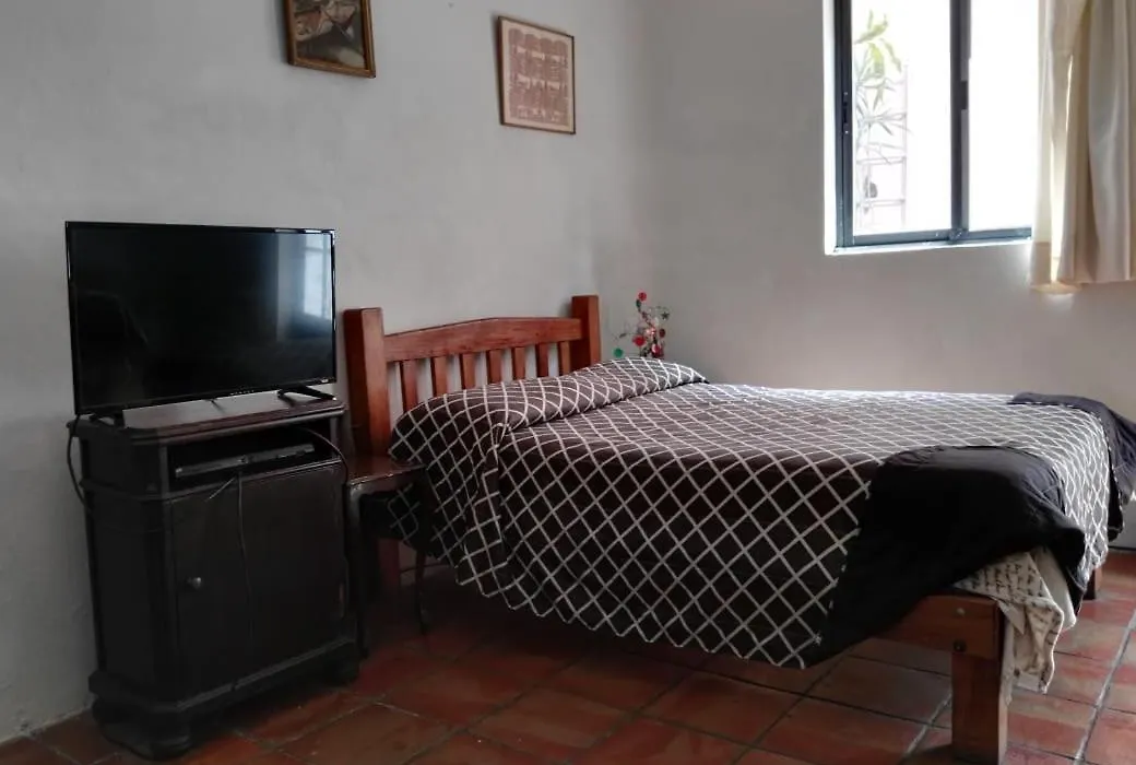 Olga Querida B&B Hostal-1