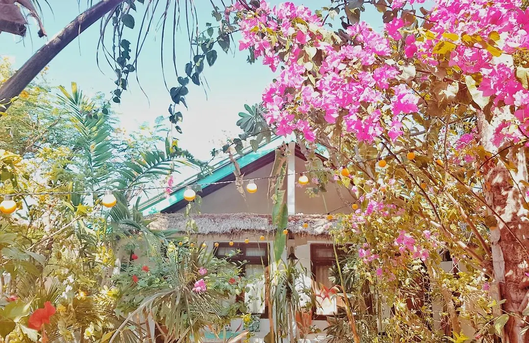 Havana Hideaway-1