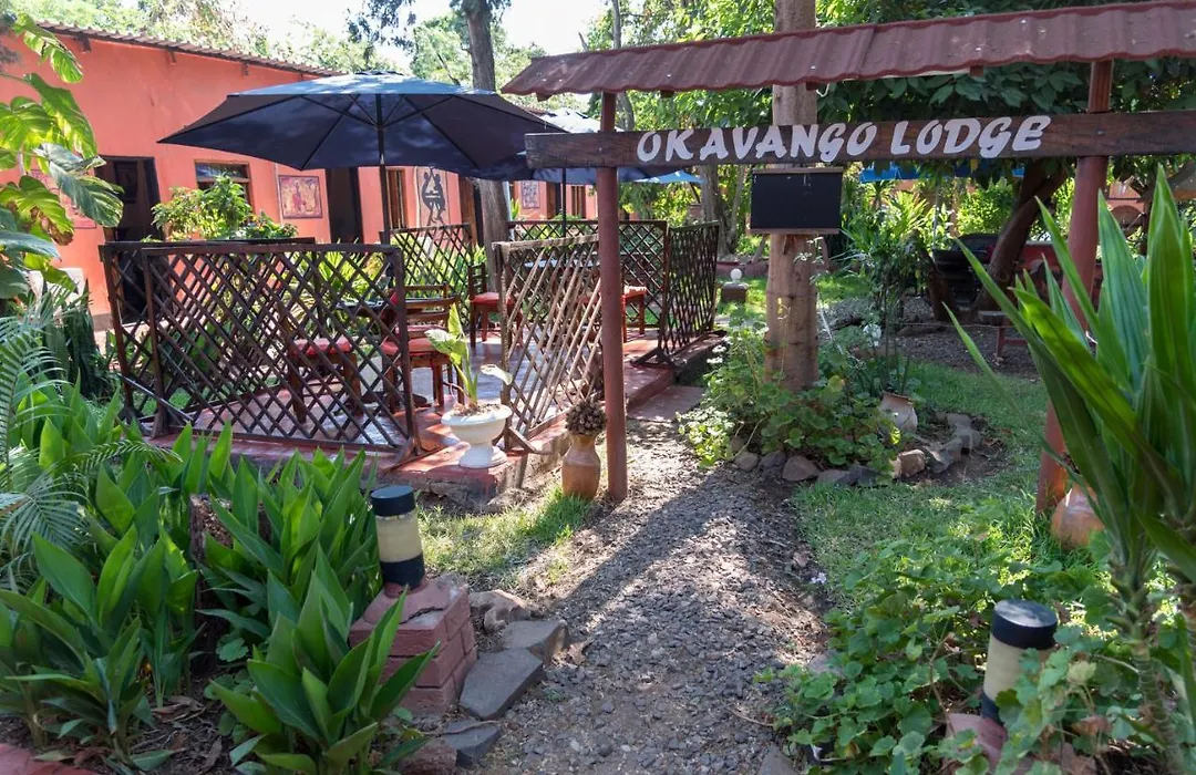 Okavango Lodge-1