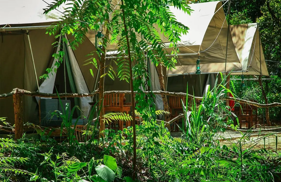 Ella Glamping-1