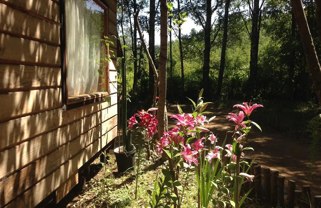 Eco-Cabanas Quetroleufu-1