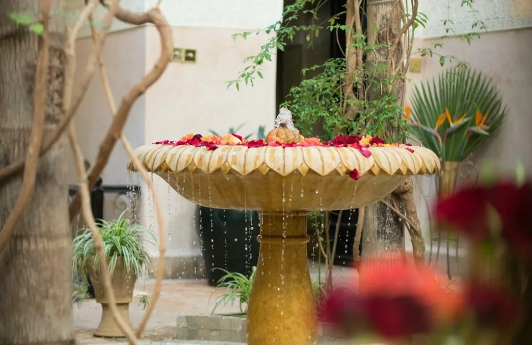 Riad Dar Jaguar-1