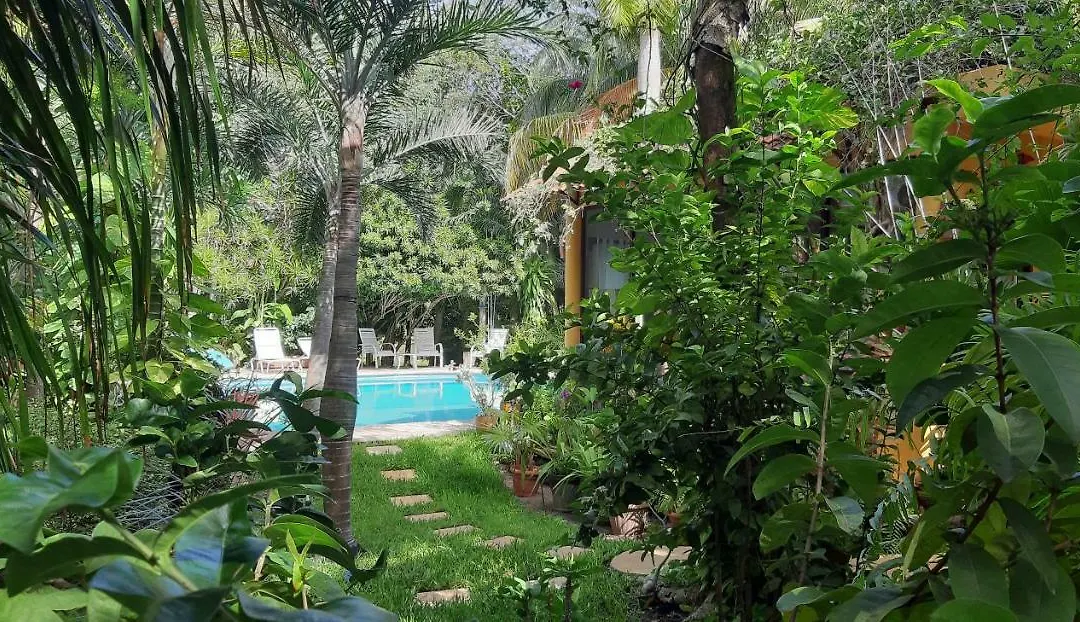 Casa Kin33-1