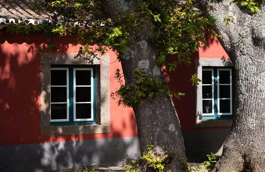 Quinta Das Vinhas-1