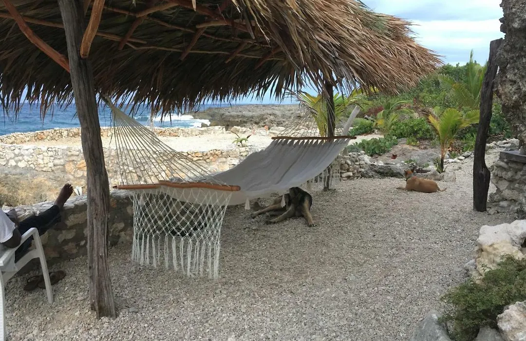 Forever Cottage-1
