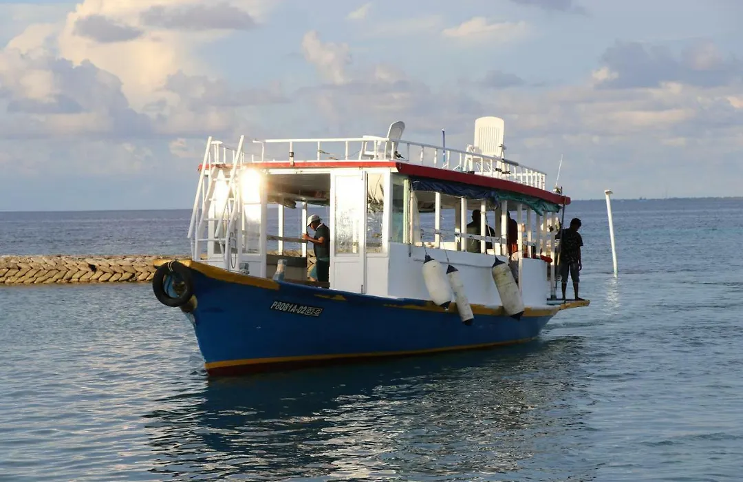 Sea Star Diving-1