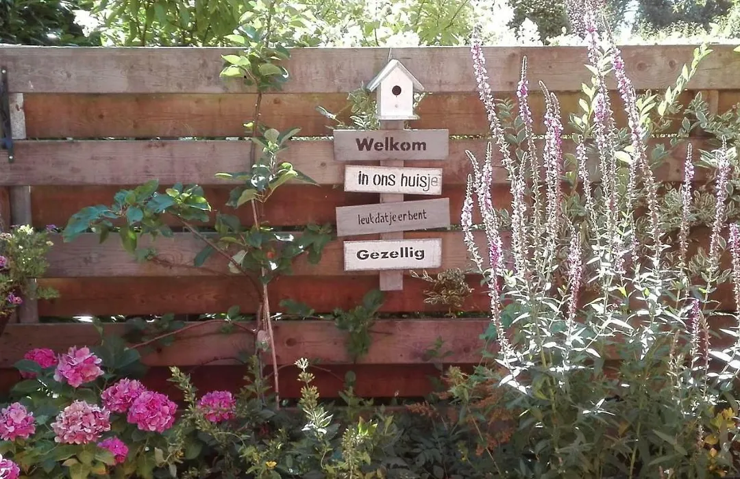 De Zes Wielen-1