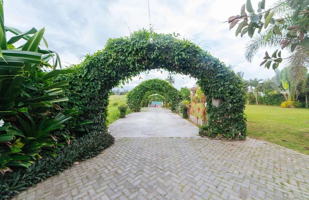 Reddoorz @ Tolentino East Road Tagaytay-1