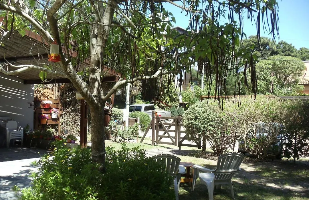 Dandy Suites-1